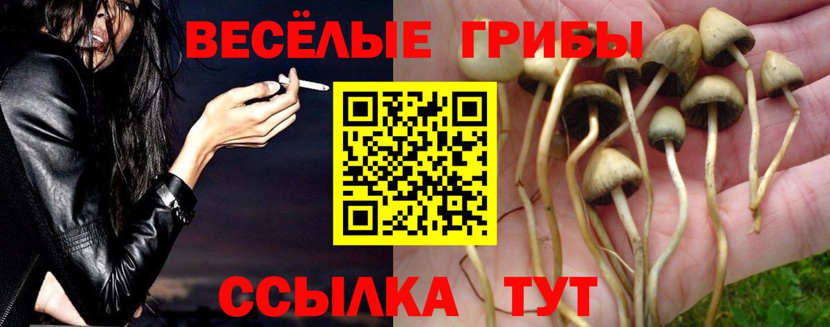 Псилоцибиновые грибы MAGIC MUSHROOMS  Вход с VPN  Волжск 